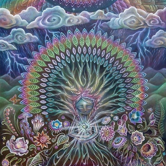 Meet your Posher, Ellella - Picture 1 of 1